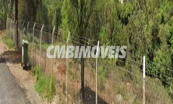 Imagem 4: área - Fazenda Santa Candida - Campinas