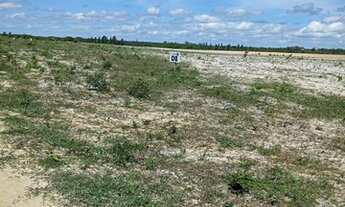 Imagem 3: Loteamento Lagoas Do Giral A 900 Metros Da Praia E A 2Km Do Centro De Paracuru.. n°:19