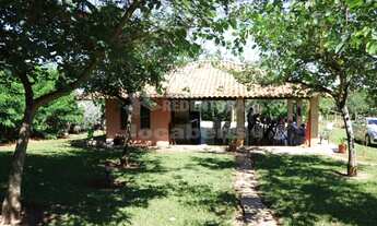 Imagem 3: Adolfo - Chácara - Jardim Morumbi