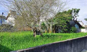 Imagem 7: Terreno à venda, 700m², plano e murado, Campeche, FLORIANOPOLIS - SC