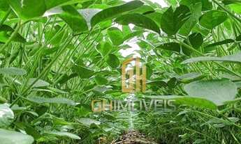 Imagem 6: Fazenda à venda, 6100 Hectares por R$ 770.000 - Zona Rural - Nova Maringá/MT