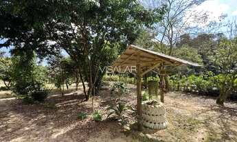 Imagem 4: CHÁCARA COM 2 HECTARES - RIO GABIROBA - SÃO MARTINHO-SC