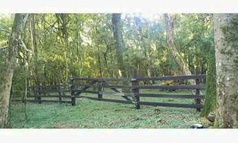 Imagem: OTIMA OPORTUNIDADE PARA PASSAR O FINAL DE