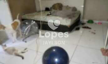 Imagem 7: Casa - 04 quartos - Cachambi