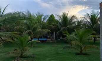 Imagem 2: Chácara à venda no prata agrotis