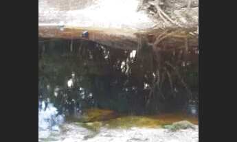 Imagem 7: Vende-se ou troco por casa carro caminhao