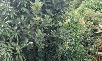 Imagem 6: Crato Casa com 2 dormitórios