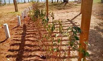 Imagem 6: Chácara de 1.000 metros quadrados no Miranda 1, no Condomínio Recanto Bela Vista
