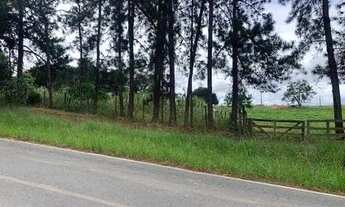 Imagem 6: Vende-se lotes de Mil Metros em Sarapui