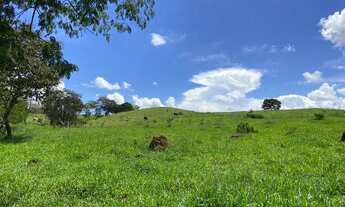 Imagem 3: Chácara/Sítio de 2 hectares - Região do Rio Dourados
