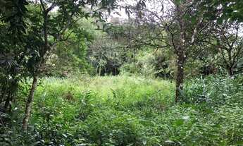 Imagem 5: TERRENO À VISTA EM ITANHAÉM/SP