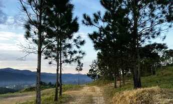 Imagem 2: Terreno com valor promocional só esse fim de semana possui 1500 metros quadrados _ Centro