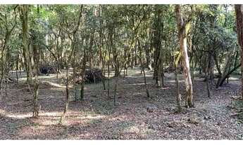 Imagem 2: OTIMA OPORTUNIDADE PARA PASSAR O FINAL DE SEMANA E FESTAS