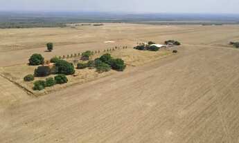 Imagem: Fazenda 840 alqueires em Tocantins