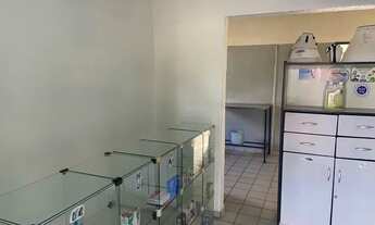 Imagem 7: Excelente Casa Comercial para Alugar no Janga