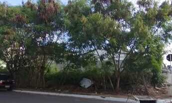 Imagem 4: Terreno na rua professor domingos correia