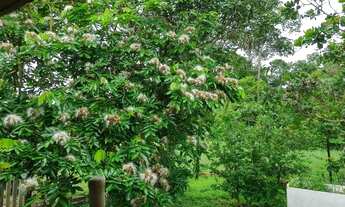 Imagem 4: Chácara na linha do caju