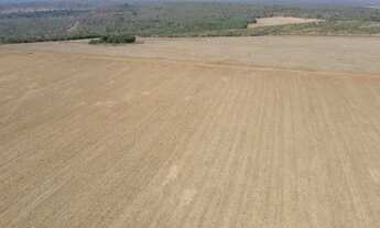Imagem 3: Fazenda 840 alqueires em Tocantins