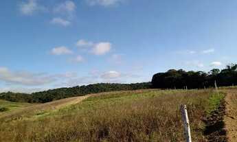 Imagem 6: Lote/Terreno para venda possui 600 metros quadrados em Graça - Cotia - SP