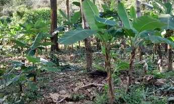 Imagem 3: Venda Terreno / lote com venda com preço sob consulta