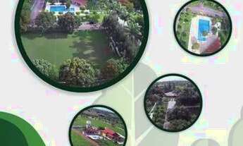 Imagem 6: Terreno de chácara