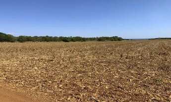 Imagem 7: Fazenda 840 alqueires em Tocantins