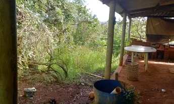 Imagem 7: Chácara rajadinha jardim do Éder