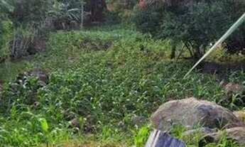 Imagem 3: Chácara Chácara com venda por R$75.000