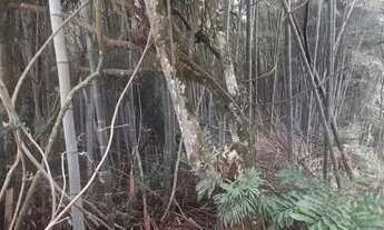 Imagem 3: Terreno ótimo para construir comercial ou residencial avenida prox centro