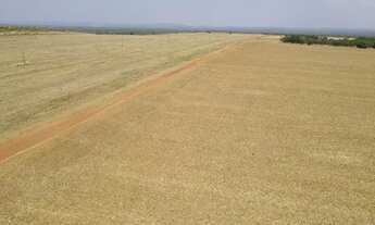 Imagem 6: Fazenda 840 alqueires em Tocantins