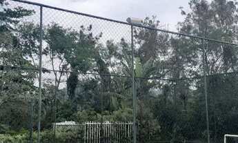 Imagem 6: Casa para aluguel com 3 quartos no Recreio dos Bandeirantes