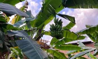 Imagem 3: Chacarra 4500 mts