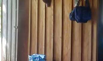 Imagem 2: Sítio Bacana Chácara com venda por R$60.000