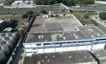 Imagem 3: Galpão - Jardim García - Campinas