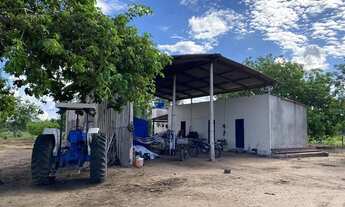 Imagem 4: Fazenda 420 Alqueires ou 2.032,80 hectares