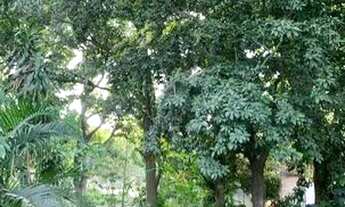 Imagem 6: Ocean vende: Itaocaia Valley O terreno tem RGI e escritura. Só a vista, possui casa não a