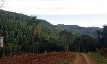 Imagem 2: Chácara 31 hectares 450,000,00 avista com arroio