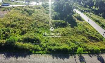 Imagem 6: TERRENO ESQUINA - NOSSA SENHORA DAS GRAÇAS (455M²