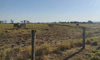 Imagem 4: Fazenda à Venda em Bom Jardim (GO) 140 alqueires