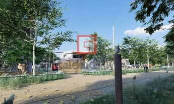 Imagem 7: Chácara em Nova Esperança, no bairro Pau DÓleo, à venda