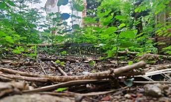 Imagem 2: TERRENO BAIRRO ROOSEVELT