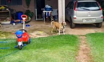 Imagem 2: Casa com lote no Altiplano Leste, 7 cômodos (incluindo garagem