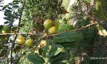 Imagem 5: Vendo ou troco por casa