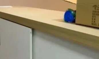 Imagem 12: Alugo Ed. Ipanema Mobiliado