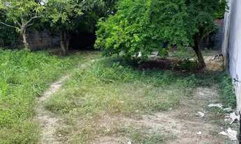 Imagem 4: Terreno para venda, nascente com 214m2 em Alagoinhas Velha-Alagoinhas-Ba