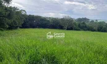 Imagem 2: Chácara 3 Alqueires à Venda Silvânia