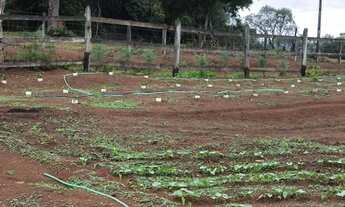 Imagem 5: CHÁCARA PONTE DE PEDRA - DOM VIÇOSO/MG