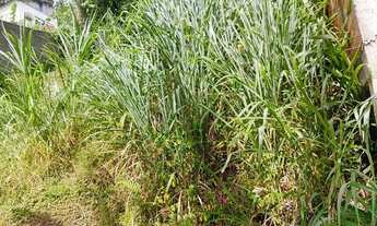 Imagem 3: Vende-se casa Casa com 1 dormitório