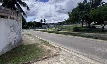 Imagem 4: Chacará espaçosa no Bairro Guarapes