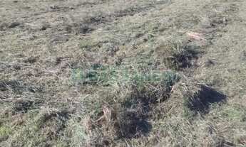 Imagem 4: Terreno Centro Garibaldi